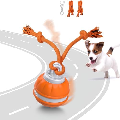 Muhhiba Interactive Dog Toys, Automatic Rolling Ball for Puppy/Small Dogs, Squeak Dog Toy, Touch Activated, USB Rechargeable