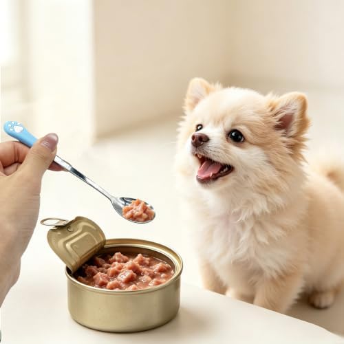 6PCS Set Cat Treat Spoon Squeeze,Can Lids, Opener Spatula and Spoon