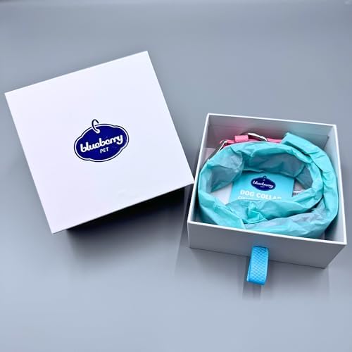 Blueberry Pet Microfiber Leather AirTag Dog Collar