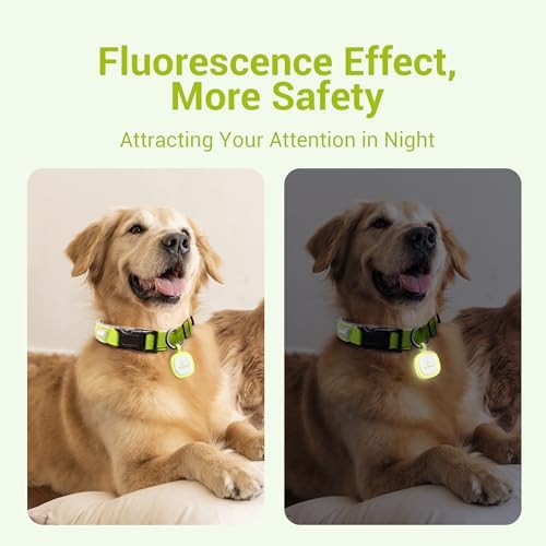 Pawaii Glow in The Dark Dog ID Tag, Silent Silicone, QR Scan Alerts, 1 Pack