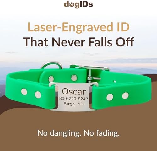 dogIDs Personalized Dog Collar – ScruffTag Custom Waterproof Biothane Dog Collar with Laser-Engraved Name, Durable & Odor-Resistant – USA Made | Bright Green, 1 in x 22 in (Fits Neck Sizes 20-24 in)