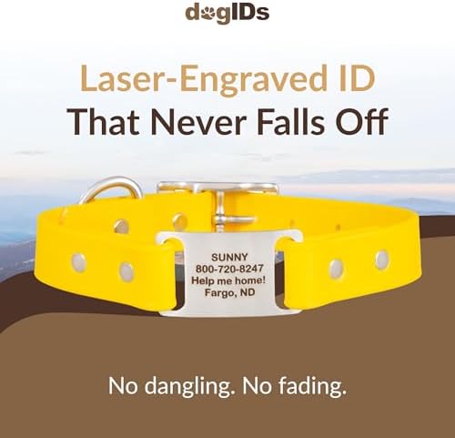 dogIDs Personalized Dog Collar – ScruffTag Custom Waterproof Biothane Dog Collar with Laser-Engraved Name, Durable & Odor-Resistant – USA Made | Yellow, 1 in x 18 in (Fits Neck Sizes 16-20 in)