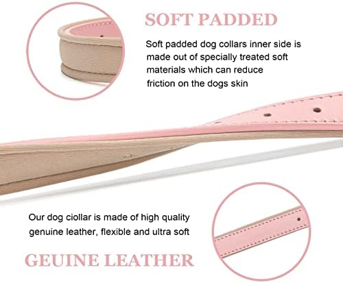 Leather Dog Collar for Small Medium Large Dogs Soft Waterproof Padded Puppy Collars