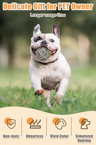 Moonorange 2.36'' Dog Balls for Dogs Aggressive Chewers Indestructible Tennis Durable Bouncy Interactive Dog Toy Balls for Fetch Game Floating Training(Grey Medium)