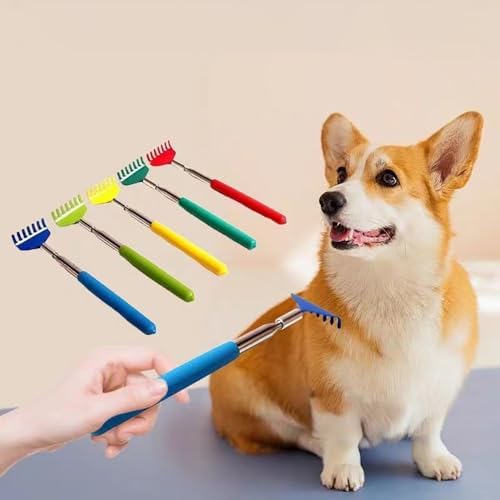 2-Pack Pet Interactive Touch Therapy Toys for Cats & Dogs, Telescopic Pet Massage Stick for Training, Bonding, Socialization, Retractable 22 Inch Skeleton Hand & Rake Shaped Teaser Wand