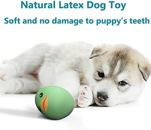 SCHITEC Squeaky Dog Toys, Latex Egg Balls for Puppies Small Medium Dogs
