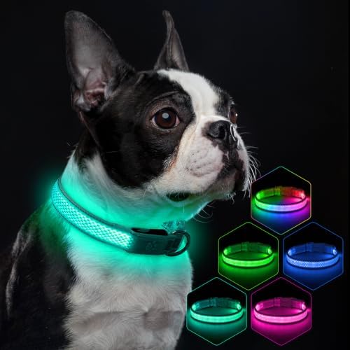 Flashseen Light up Collars for Dogs at Night, RGB 9-Mode, USB Rechargeable | Color Changing LED Lighted Dog Collar, Super Bright Adjustable Glow Collar for Night Walking (Cyan, Small)