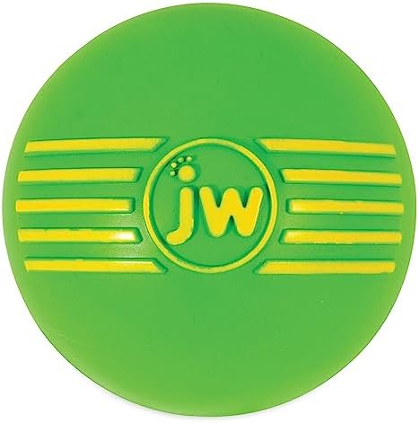 JW Pet Dog iSqueak Ball Dog Toy, Large, (Assorted Colors)
