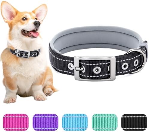 Segarty Reflective Dog Collar for Medium Dogs, Adjustable Wide Soft Comfortable Breathable Neoprene Padded Nylon Collar with Heavy Duty Metal Buckle for Medium Small Breeds (M, Black)
