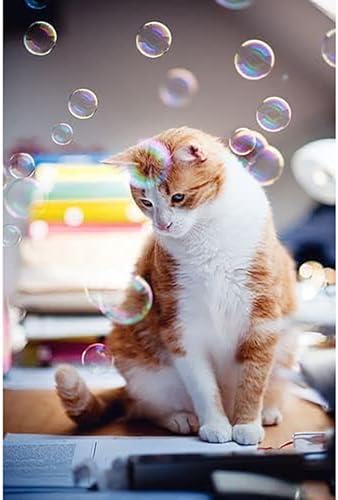 Kitty Love Bubbles: 2 Pack Catnip Scented - 4oz Bottles, Catnip Infused Long Lasting Bubbles for Cats, Non-Toxic & Allergen-Free, Combine Toy & Treat