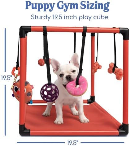 Race&Herd 19.5" Puppy Play Gym — Small Dog Jungle Activity Mat (Cherry)