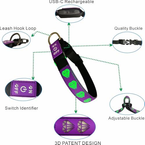 Light Up Glow Dog Collar with AirTag Holder, 15 Color Modes,