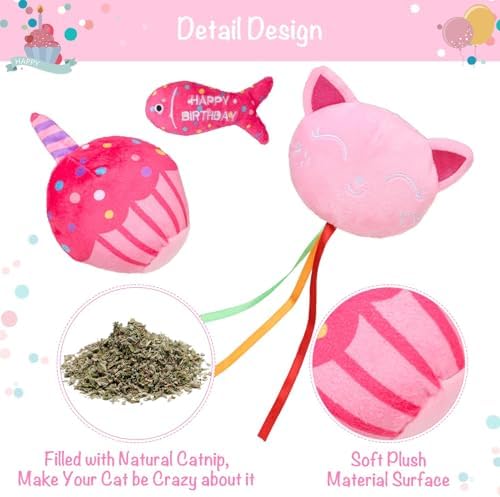 BINGPET Cat Birthday Decorations Outfit, 5 Pcs Catnip Toys for Indoor Cats