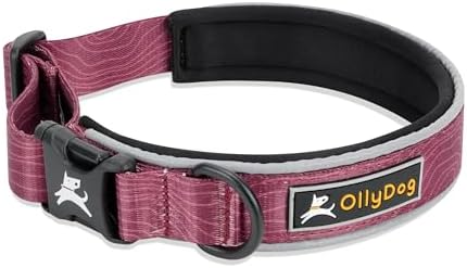 OllyDog Flagstaff Reflective Comfort Collar, Neoprene Padded Dog Collar, Reflective Trims for Night Runs, Extra Comfort for Active Dogs (Large, Rosewood Woodgrain)