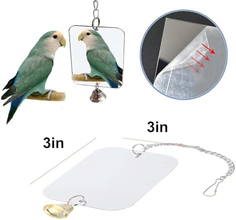 Bird Xylophone with Mirror & Bell Accessories - Musical Training Toy for Conure, Budgie, Cockatiel, Cockatoo, Parakeet, Finch (Bird Xylophone with Mirror)