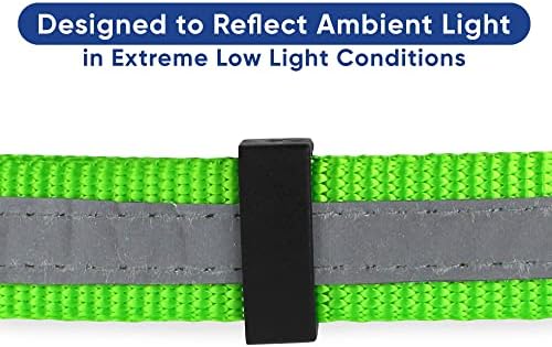 Pawtitas Martingale Dog Collar with Chain a Reflective Dog Training Collar for Medium Dogs | Nylon No Pull Dog Collar for Medium Dog - Green