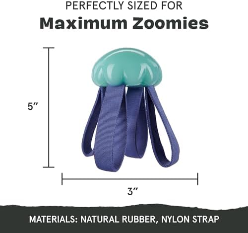 BarkBox Jelly Fetch Dog Toy - for Medium Dogs