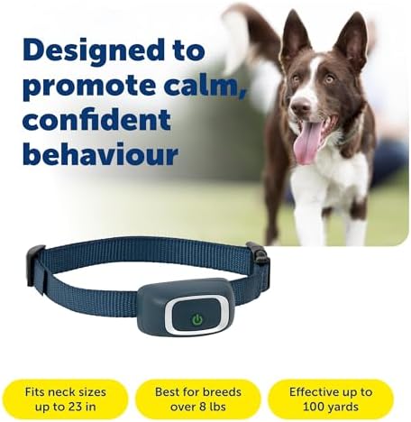 PetSafe 100 Yard Lite Remote Trainer, Rechargeable, Waterproof, Tone / Vibration / 15 Levels of Lighter Static Stimulation for Sensitive or Small Dogs 8 lb. and Up