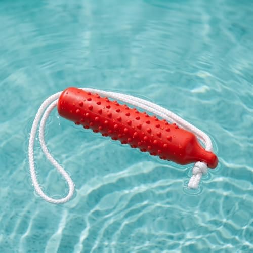 Floating Dog Water Pool Toys,Outdoor Interactive Toy 10.6 Inch EVA