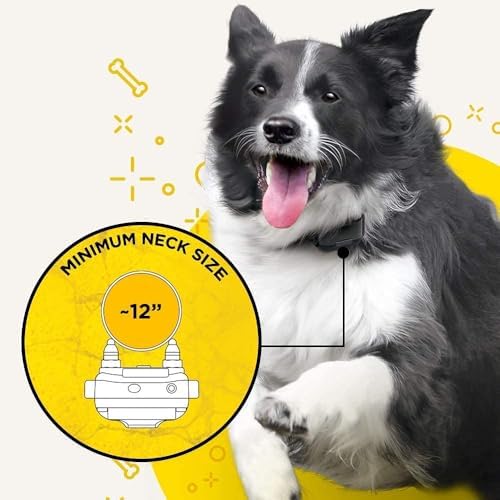 Dogtra iQ Plus Ecollar Rechargeable Waterproof 400-Yard Remote Dog Training E-Collar