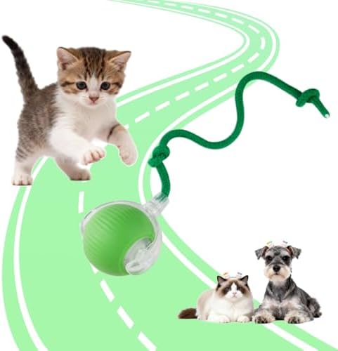 KumCinn Interactive Dog Ball for Small Medium Dogs, Automatic Self Moving Cat Toys Ball for Indoor Cats, 360° Rolling Electric Pet Ball, Fast Smart Motion Activated Toy (Green)