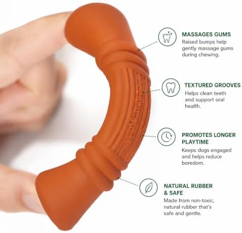 Green Sheep Enrichment Dog Bone for Puppies and Small Dogs, Natural Rubber Treat Dispensing Chew Toy with Textured Surface for Mental Stimulation & Dental Support, Interactive Dog Toys
