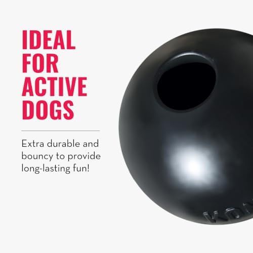 KONG Extreme Ball with Hole, Rubber Fetch Toy, Black, for Large/Medium Dogs