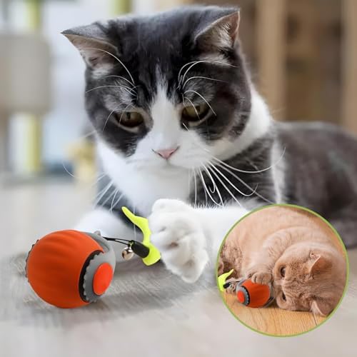1 Pack Interactive Cat Toy Balls for Indoor Cats, Speedy Tail 3.0