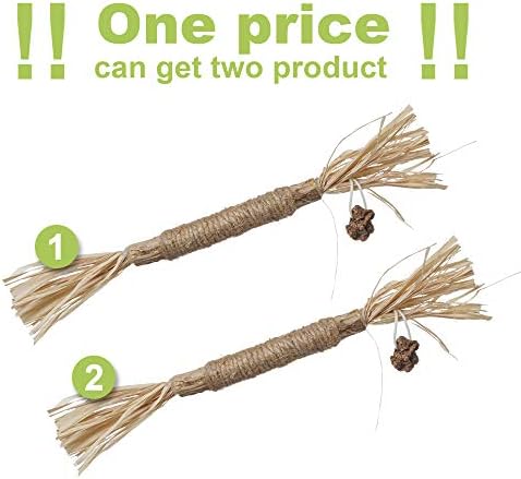PAZ'S GIFT Catnip Toy Cat Toys Catnip Toy cat chew Toy cat Kicking silvervine Stick Teeth Cleaning Cute Kitten Teething Indoor Interactivecat Dental Care Matatabi (Raffia 2pcs)