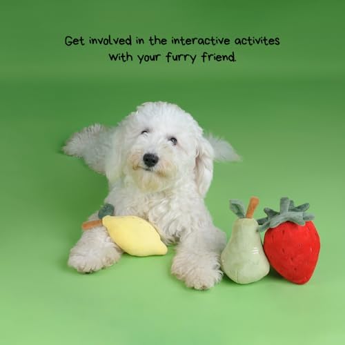 CHEWFFON Squeaky Plush Dog Toy, 3-Piece Fruit Set