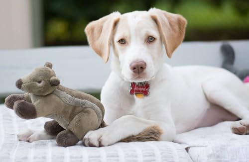 Fluff & Tuff Peanut Chipmunk Plush Dog Toy, 8” Durable Stuffed Dog Toy with Squeaker, Double-Stitched & Reinforced for Interactive Play