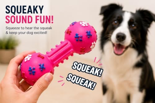 Squeaky Chew Toy for Dogs, 3 Pack, Durable Rubber Dog Toys, Dental Chew Toys, Interactive Squeaky Toy, Safe & Non-Toxic, Small to Medium Dogs
