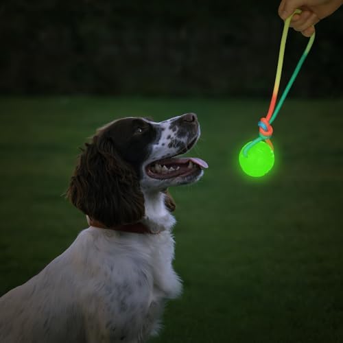 Hollowfly 2 Pcs Christmas Glow in Dark Dog Ball on Rope 2.36" Toy