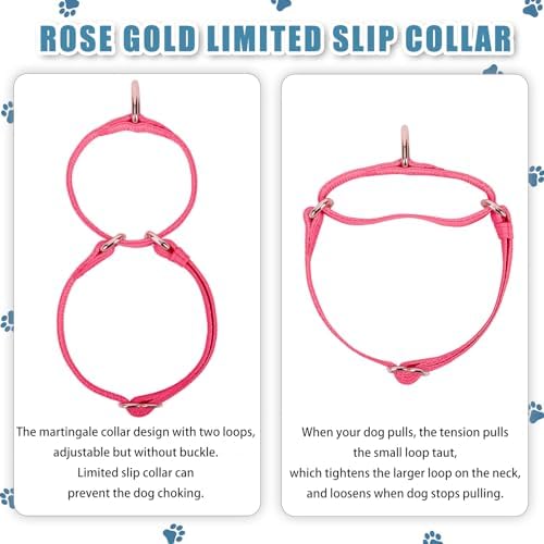 Soft Leather Martingale Dog Collar - Adjustable Rose Gold Limited Slip Collars [Easy to Clean], Stylish Durable Heavy Duty Nylon No Pull Training Collar for Small Medium Large Dogs L Hot Pink