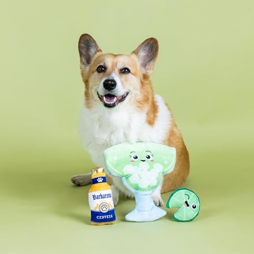 Fringe Studio Drop ME A Lime Hide and Seek Plush Dog Toy, Pet Shop Collection (289257)