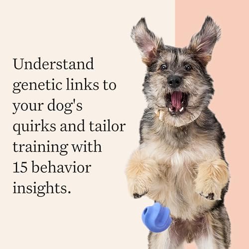 Wisdom Panel Premium Dog DNA Testing Kit - Most Comprehensive Test - 265+ Health Tests, 430+ Dog Breeds, 50+ Traits, Relatives, Ancestry, 2 Pack