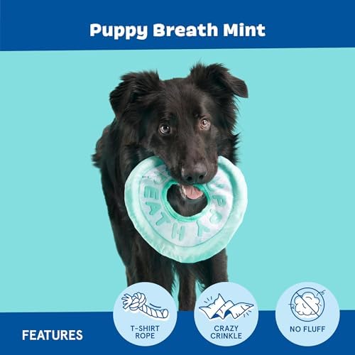 BarkBox Puppy Breath Mint Dog Toy - for Dogs