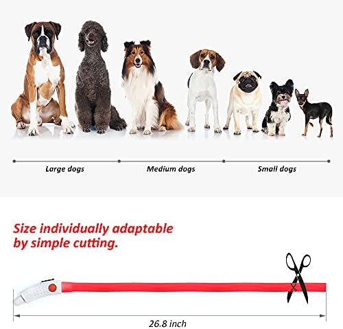 BSEEN Light Up Dog Collar, Silicone LED Dog Collar Rechargeable Cat Collar Cuttable Glowing Puppy Necklace Safety Dog Lights for Night Walking (Red)