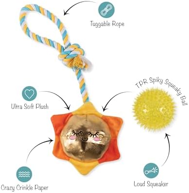 Fringe Studio Plush Dog Toy with Rope, Sun-Day I'm in Love, Pet Shop Collection (314526)