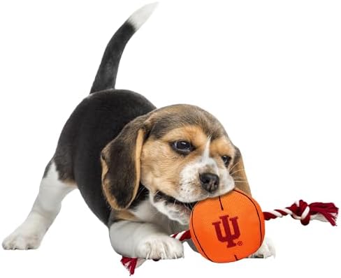 NCAA Indiana Hoosiers Basketball Rope Toy for Dogs & Cats. Tough Nylon, Sporty Basketball Design, Heavy-Duty Ropes with Inner Squeaker