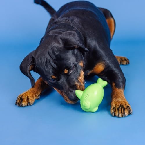Fringe Studio Catch YA Later Lime Rubber Dog Toy, Pet Shop Collection (518048)