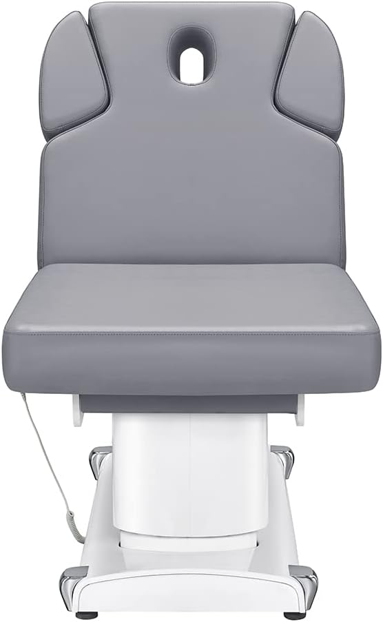 Dir Full Electric Medical Spa Treatment Massage Table Facial Beauty Bed LUXI in Grey