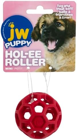 JW Pet Hol-ee Roller Treat Dispenser Puzzle Ball, Mini 1.75in, Rubber