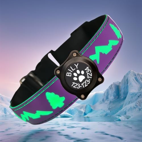 Personalized Light up Dog Collars Rechargeable with Waterproof airtag Holder for Black Dog Night Walking (Purple Collar 15 Modes Lighting, S(7.87-11.8"))