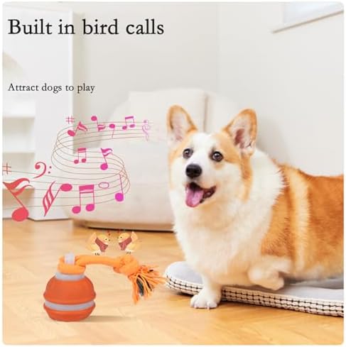 Interactive Dog Toys for Small Dogs – Peppy Pet Ball & Chase Buddy Dog Toy Active Rolling Puppy Toys to Keep Them Busy, Daily Training Interactive Puppy Toys