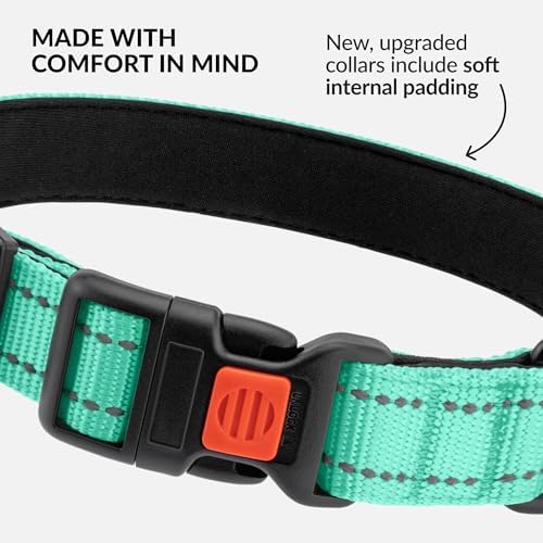 Reflective Dog Collar, Quick-Release Buckle (Mint Green, 18-26 Inch)