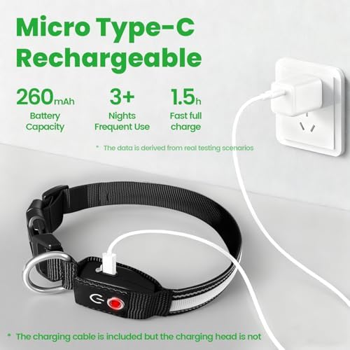 Auto Light Up Dog Collar - Smart Safety Night Collar with Motion Sensor - Auto-On in Dark - USB-C Rechargeable - 3 Day Runtime- IP65 Waterproof (L 20-24")