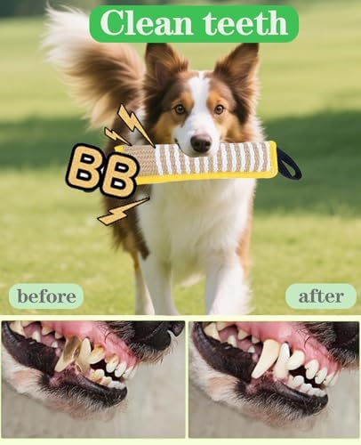 Clysoru Squeaky Tug Toy for Dogs Jute with 2 Strong Handles Lasting Training Equipment Puppy to Large Dog Interactive Toys of War Pull Indestructible Rope Pet Crinkle Teething