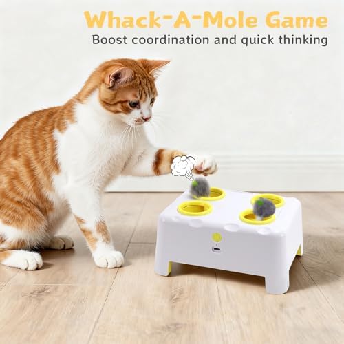 Interactive Cat Feather Toy Cheese Box 3in1 Whack a Mole