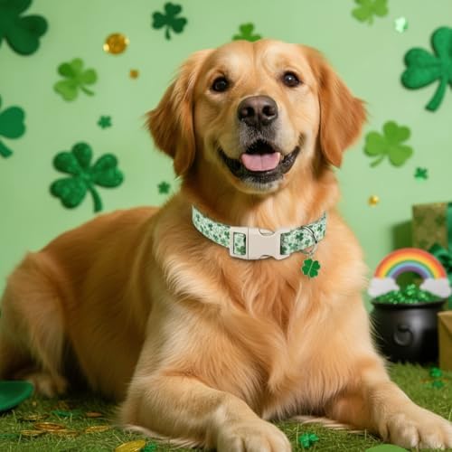 Spring Dog Collars for Medium Dogs, Green Dog Collar with Green Clover Pattern, Medium Girl Boy Pet Collar with Spring Summer Design, M